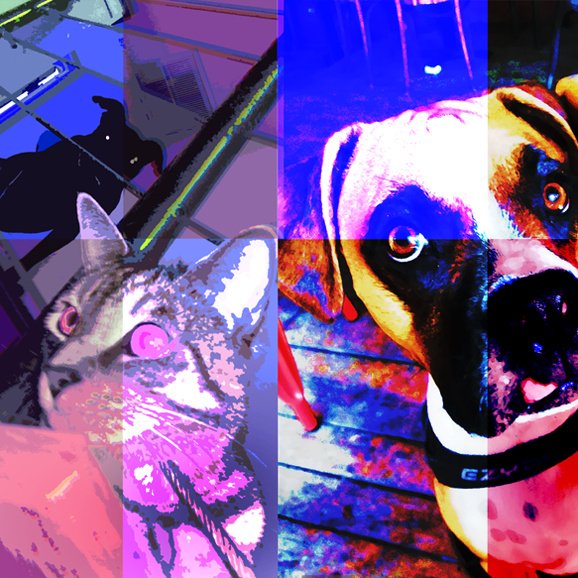 Just for Fun!